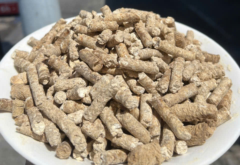 Tapioca Pellets